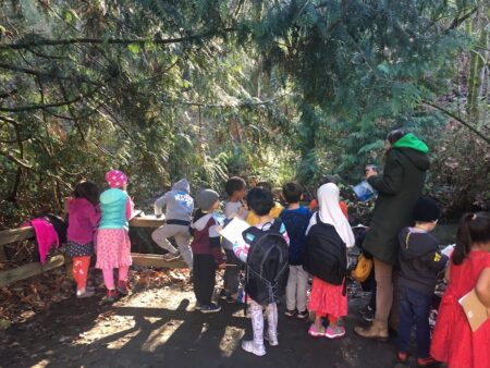 An adult and many young people look at several trees in a forest.