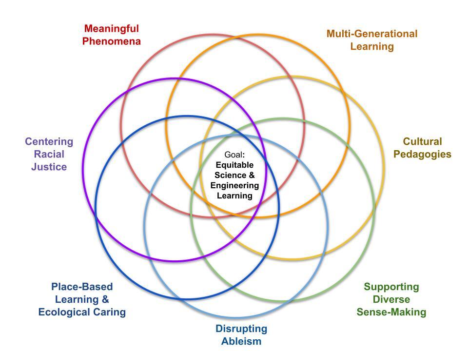 ACESSE Equity Flower Diagram