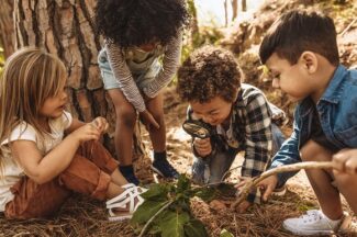 Three young childreen look at something on the ground next to a tree. One has a magnifying glass.